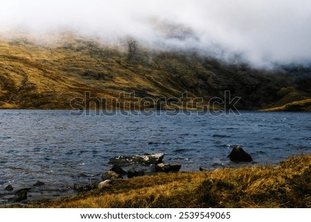 Similar – downpour Nature Landscape