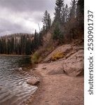 Serene lake with a rocky shoreline in the background. The water is calm and the shoreline is lined with rocks. The trees surrounding the lake are bare, indicating that it is likely fall or winter