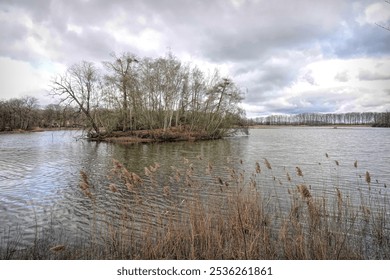 A serene lake with a small island covered in leafless trees under a cloudy sky, Kraenepoel , Aalter - Powered by Shutterstock