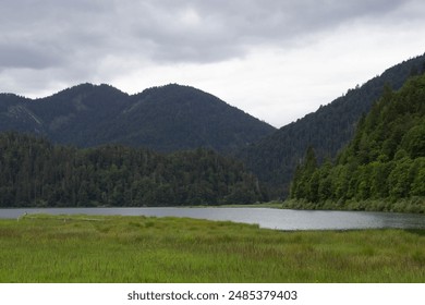A serene lake surrounded by lush, forested hills and mountains under an overcast sky. The calm water reflects the greenery and cloudy sky, creating a tranquil and untouched natural scene  - Powered by Shutterstock