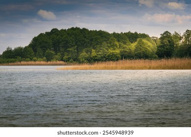 Serene lake surrounded by lush green trees and reeds. Tranquil water reflects soft light under a partly cloudy sky. Ideal for serenity, nature, and calm themes. - Powered by Shutterstock