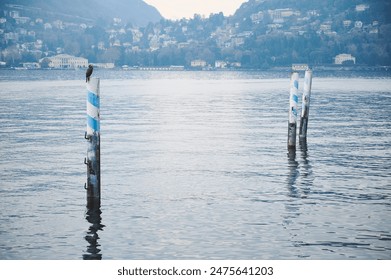 Serene lake view with a bird perched on a weathered wooden post, set against a backdrop of a quaint hillside town. Calm waters and distant town create a tranquil atmosphere. - Powered by Shutterstock