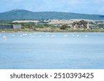 A serene lakescape unfolds, with distant flamingos wading gracefully along the far shore. The scene evokes a sense of calm and harmony.