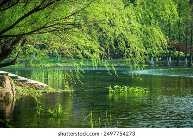 Serene Lakeside Park with Lush Greenery - Powered by Shutterstock