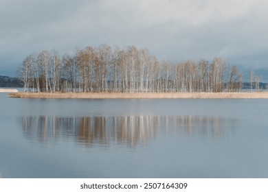 A serene lakeside scene with a row of bare trees reflecting on calm water under a cloudy sky. Perfect for nature, tranquility, and landscape themes. High-quality, peaceful setting. - Powered by Shutterstock