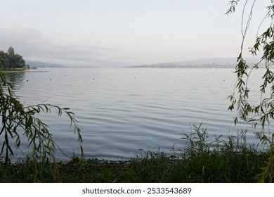 A serene lakeside view with calm waters and distant hills under a clear sky, framed by lush green foliage. - Powered by Shutterstock