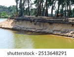 A serene lakeside view featuring a sandy bank with exposed layers of soil, surrounded by tall trees. The calm water reflects the greenery, creating a peaceful natural scene.