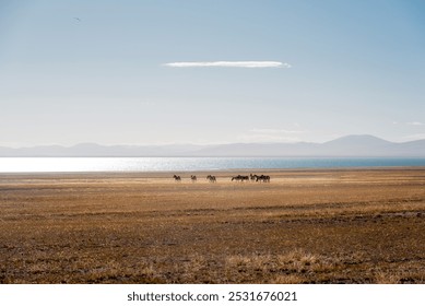 A serene landscape with a band of horses grazing on a vast plain near a shimmering lake, distant mountains under a clear sky. - Powered by Shutterstock