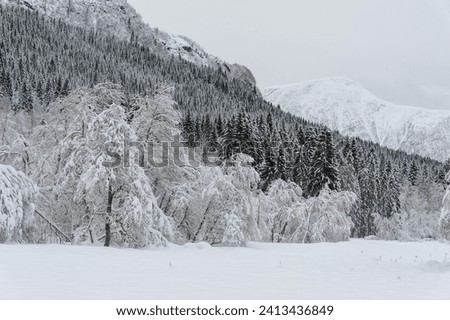 A serene landscape captures the tranquility of a forest and mountain range blanketed in fresh, undisturbed snow.