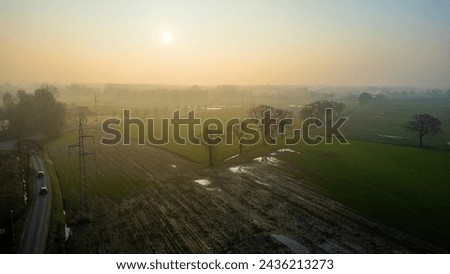 A serene landscape with a country road winding beside shadow-casting trees, bathed in the golden light of early dawn. Golden Sunrise Casting Shadows on a Country Road and Trees. High quality photo