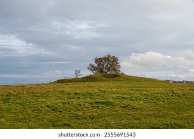 A serene landscape featuring a grassy hill with a solitary tree at its peak, surrounded by open fields and a cloudy sky in the background. The natural beauty is captivating - Powered by Shutterstock