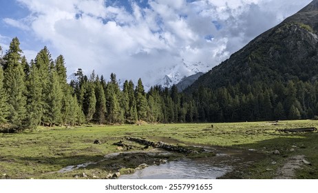 A serene landscape featuring a lush green meadow with a gentle stream, surrounded by dense evergreen forests and majestic, snow-capped mountains under a partly cloudy sky. - Powered by Shutterstock