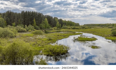 A serene landscape with a meandering river reflecting the surrounding greenery and forest. The tranquil setting showcases the diverse ecosystem and pristine natural beauty. - Powered by Shutterstock