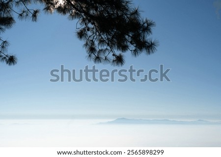 Similar – Image, Stock Photo An ethereal landscape showcasing a blur of golden wildflowers against a backdrop of serene trees under a soft, hazy sunrise