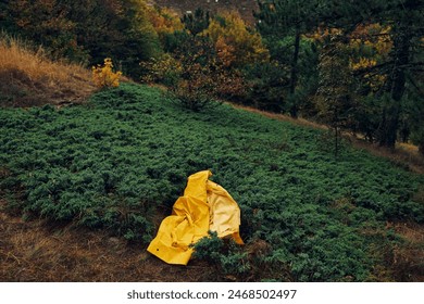 Serene Landscape with Yellow Raincoat in Middle of Field Surrounded by Trees and Mountains Peaceful Travel Scene Nature Adventure Exploration Concept - Powered by Shutterstock