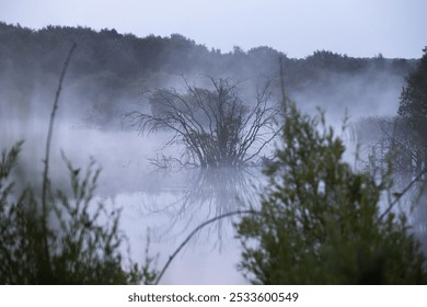 A serene misty lake scene with trees reflected in the calm water, surrounded by lush greenery. - Powered by Shutterstock