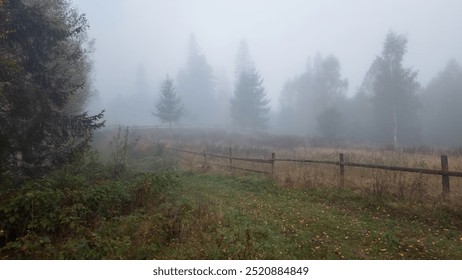 A serene misty morning. Rare trees emerge from the fog, creating a sense of quiet mystery. Soft diffused light enhances the peaceful atmosphere, making the landscape almost ethereal. - Powered by Shutterstock