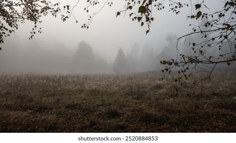 A serene misty morning. Rare trees emerge from the fog, creating a sense of quiet mystery. Soft diffused light enhances the peaceful atmosphere, making the landscape almost ethereal. - Powered by Shutterstock