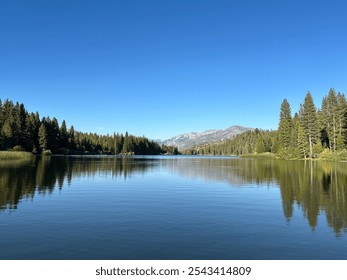 Serene mountain lake reflecting pine forest and distant peaks under clear blue sky. Calm waters mirror surrounding evergreen trees in pristine alpine landscape. - Powered by Shutterstock