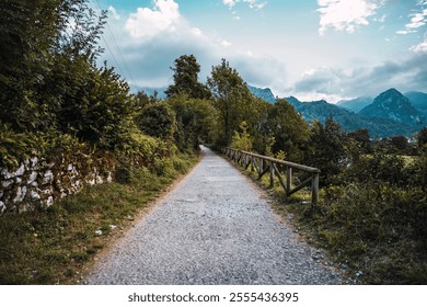 Serene mountain pathway for hikers and nature lovers, surrounded by lush greenery - Powered by Shutterstock