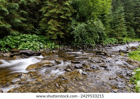 A serene mountain river, captured with a long exposure and the gentle touch of flowing water, gracefully winding between rocky shores, portraying the tranquil beauty of untouched nature.