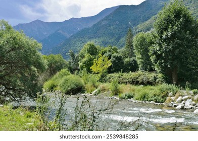 Serene mountain river flowing through lush green foliage, set against a backdrop of towering peaks. The scenic view captures the essence of tranquility and natural beauty in a remote valley - Powered by Shutterstock