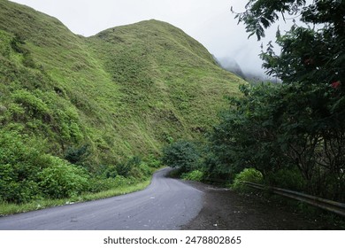 Serene mountain road surrounded by lush greenery, winding through nature's beauty. - Powered by Shutterstock