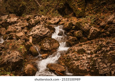 A serene mountain stream with clear water flowing over smooth rocks in an autumnal forest setting. The fallen leaves and orange tones of the landscape add a peaceful, natural atmosphere - Powered by Shutterstock