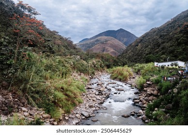 A serene mountain stream flows through a mist-covered valley surrounded by dense forest. Tall trees rise above the fog, creating a peaceful and mysterious atmosphere in the lush green wilderness. - Powered by Shutterstock