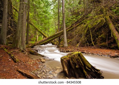 A Serene Mountain Stream Flows Through Lush Forest    - Margaret Falls In Herald Provincial Park, British Colombia, Canada