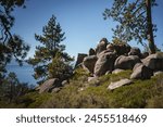 Serene natural landscape with rocky outcrop, lush greenery, tall pine trees, and person sitting on boulder. Tranquil scene near calm body of water. Mountainous region vibes.