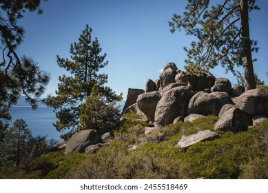 Serene natural landscape with rocky outcrop, lush greenery, tall pine trees, and person sitting on boulder. Tranquil scene near calm body of water. Mountainous region vibes. - Powered by Shutterstock