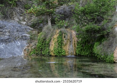 A serene natural spring with clear water, surrounded by lush greenery and rocks in a forest setting. - Powered by Shutterstock