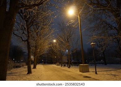 Serene nighttime scene of a snow-covered park path illuminated by streetlights. Bare trees line the walkway, creating a tranquil winter atmosphere. - Powered by Shutterstock