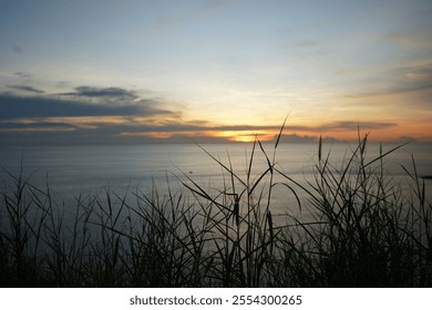 Serene ocean sunset with tall grass silhouettes in the foreground, peaceful coastal view, vibrant evening sky, and tranquil nature backdrop. - Powered by Shutterstock