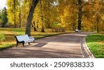 Serene park path lined with benches amidst golden autumn foliage and tranquil sunlight