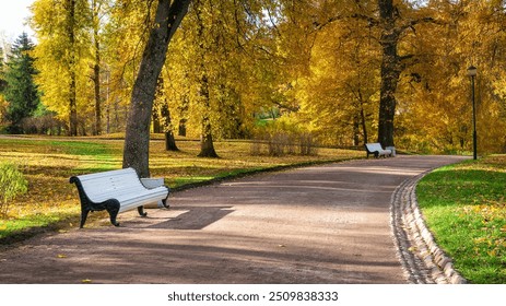 Serene park path lined with benches amidst golden autumn foliage and tranquil sunlight - Powered by Shutterstock