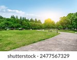 Serene Park Path at Sunrise