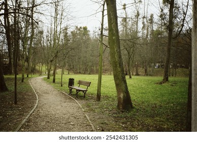 Serene park pathway with empty benches, surrounded by leafless trees on a calm, overcast day. Ideal spot for solitude and relaxation in nature - Powered by Shutterstock