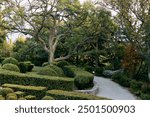 Serene park scene with central tree, winding walkway, and bench under the shade