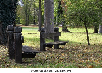 A serene park setting in autumn with two weathered wooden benches surrounded by tall trees and fallen leaves. Perfect for conveying calm and peaceful outdoor moments. - Powered by Shutterstock