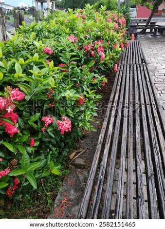 Similar – Image, Stock Photo A weathered wooden bench in front of a yellow painted wall