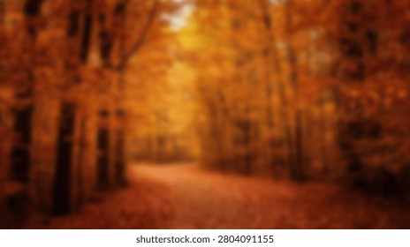 A serene path winds through a forest ablaze with the warm colors of autumn. Sunlight filters through the canopy, illuminating the fallen leaves.