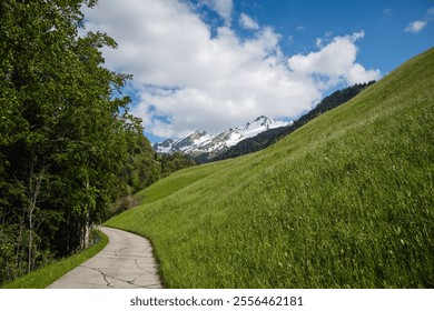 A serene pathway through lush green hills leads to majestic snow-covered peaks under a blue sky. A stunning natural scene that embodies tranquility and adventure in the Alps. - Powered by Shutterstock