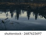 Serene pond with reflections of trees and dramatic light, peaceful nature landscape background.