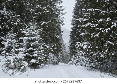 A serene and pristine winter landscape with a dense fir forest during a gentle snowfall. The air is filled with snowflakes on a quiet, overcast day.
