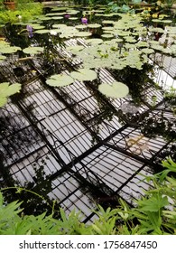 serene reflection creates tranquility within