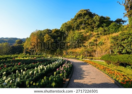 Serene reflection pool and topiary trees in the royal gardens of Doi Inthanon, the highest point in Thailand