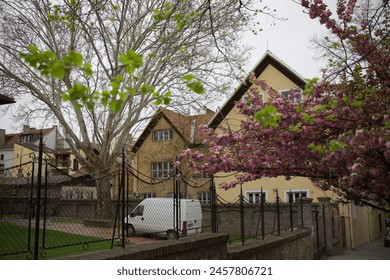 A serene residential scene features a traditional wooden house with a red roof, set behind a metal fence and brick wall. The house is adorned with pink cherry blossoms and green lawn - Powered by Shutterstock