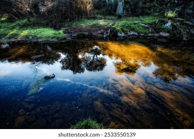 A serene river with clear water reflecting trees and sunlight, surrounded by lush greenery and rocky banks. - Powered by Shutterstock